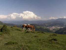 Samiño