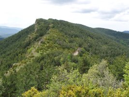 Sasari, Txistulatik