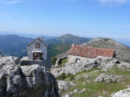 Buzoia