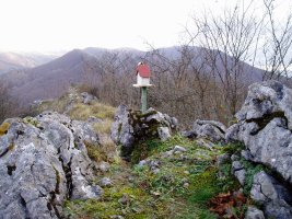 Tontorra