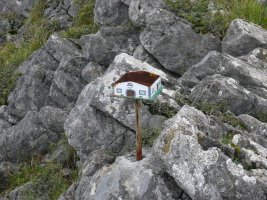 Buzoia