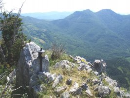 Gailurretik, Elke
