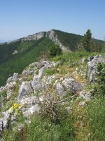 Gailurretik, Larrogain