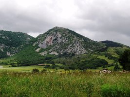 Txargain Ollarandik