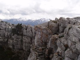 Gailurra