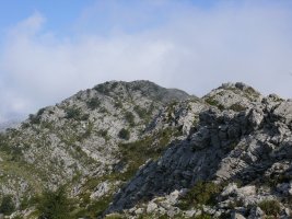 Gantzorrotz
