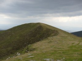 Tontorra