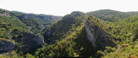 Botxuela arroila