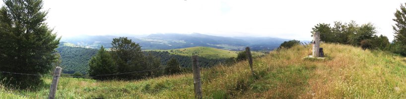 Gailurra 