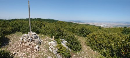 Tontorra