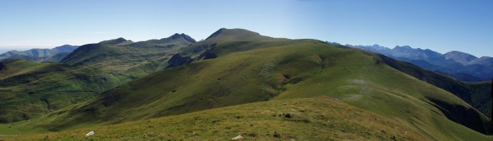 Otsogorrigaina Gaztarritik