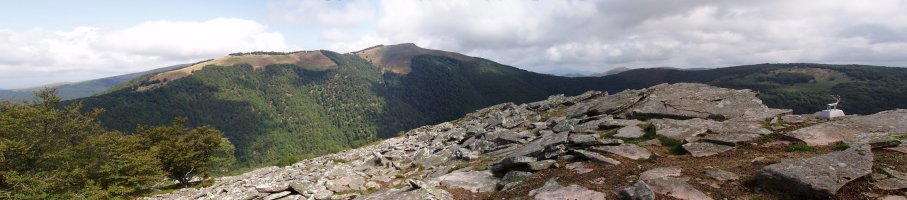 Erideko gailurra