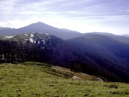 Enekorri eta Zuraun