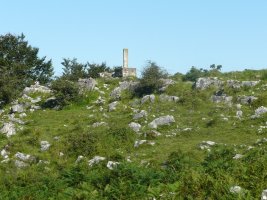 Tontorra