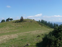 Tontorra