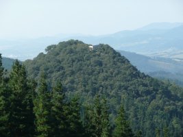 Artadi