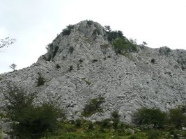 Betzuenburu