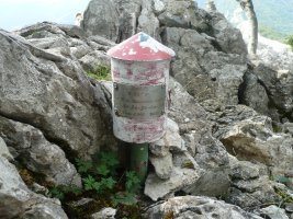 Buzoia