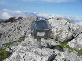 Buzoia