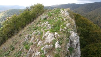 Tontorra