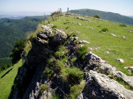 Tontorra