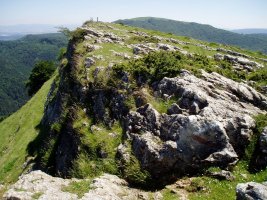 Tontorra