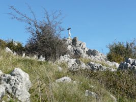 Tontorra
