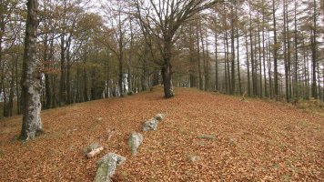 Tontorra