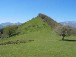 Ingurua