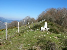 Tontorra