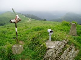 Tontorra