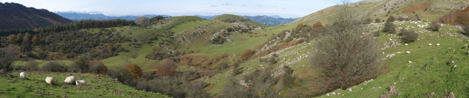 Arrastaran inguruak