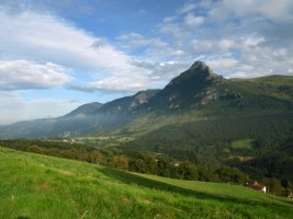 Tontorra