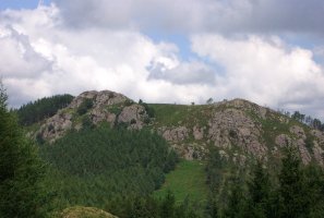 Zaburu