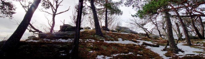 Oso-ko gailurra