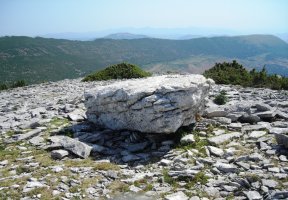 Irunsario  zutarria