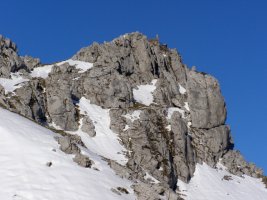 Tontorra