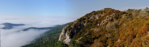 Lakarri 