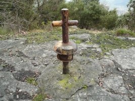 Buzoia
