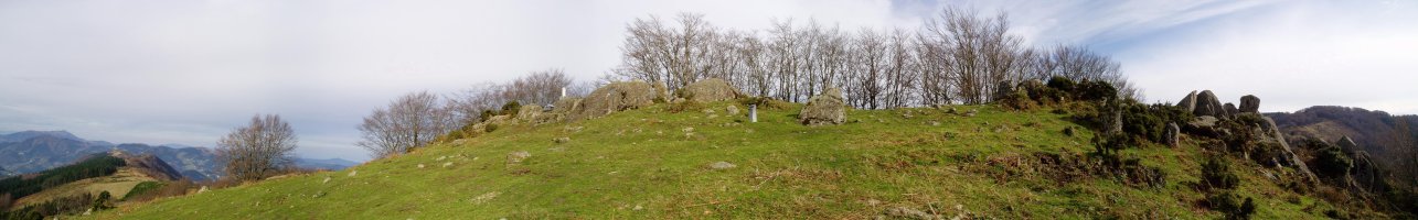 Tontorra