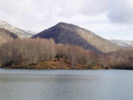 Lareotik ikusita