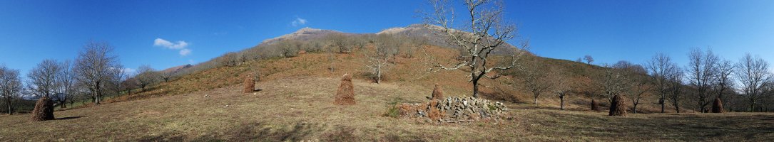 Ingurua