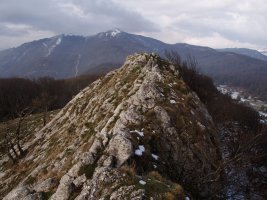 Sollandiko gailurra 