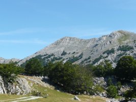 Arbelaitz