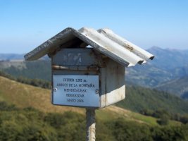 Buzoia