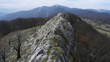 Tontorra