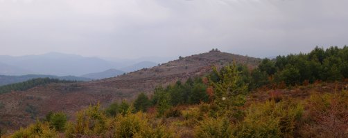 Salbatori