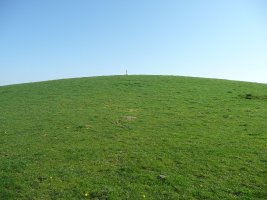 Tontorra