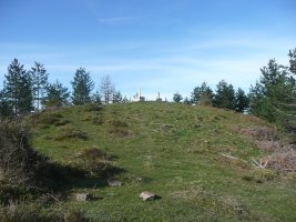 Tontorra