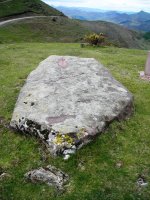 Gorospil zutarria